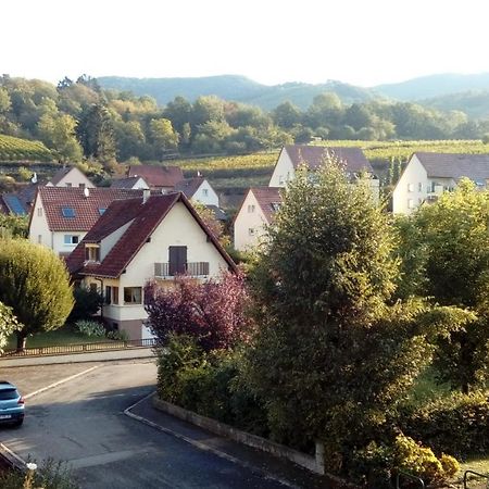Hotel Marcia Donatti - A l'Ombre des Coteaux Sao Paulo Kaysersberg-Vignoble Esterno foto