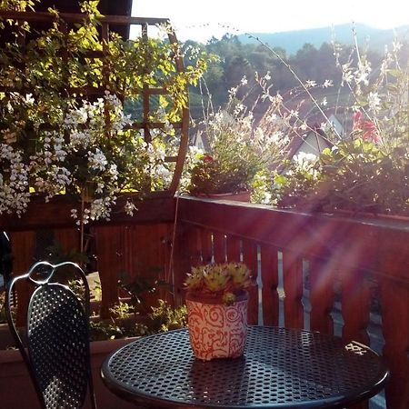 Hotel Marcia Donatti - A l'Ombre des Coteaux Sao Paulo Kaysersberg-Vignoble Esterno foto