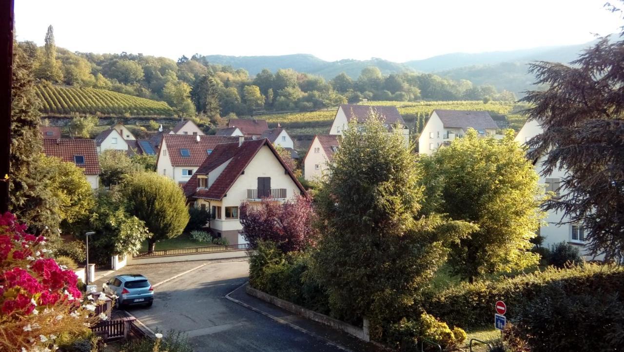 Hotel Marcia Donatti - A l'Ombre des Coteaux Sao Paulo Kaysersberg-Vignoble Esterno foto
