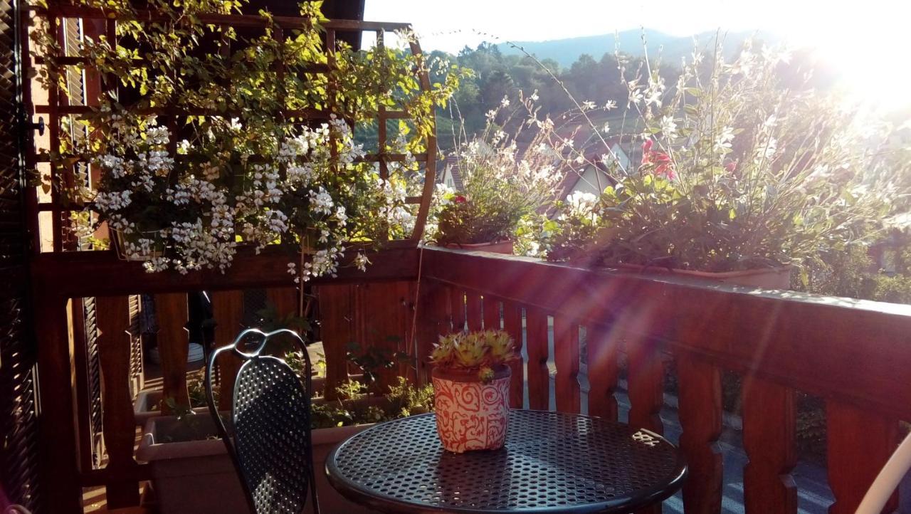 Hotel Marcia Donatti - A l'Ombre des Coteaux Sao Paulo Kaysersberg-Vignoble Esterno foto