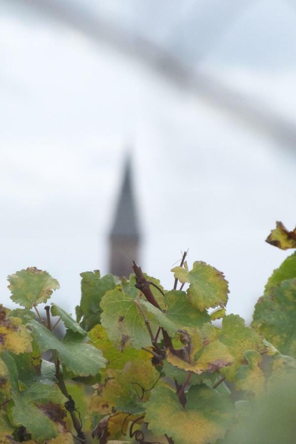 Hotel Marcia Donatti - A l'Ombre des Coteaux Sao Paulo Kaysersberg-Vignoble Esterno foto