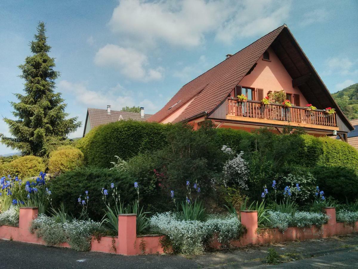 Hotel Marcia Donatti - A l'Ombre des Coteaux Sao Paulo Kaysersberg-Vignoble Esterno foto